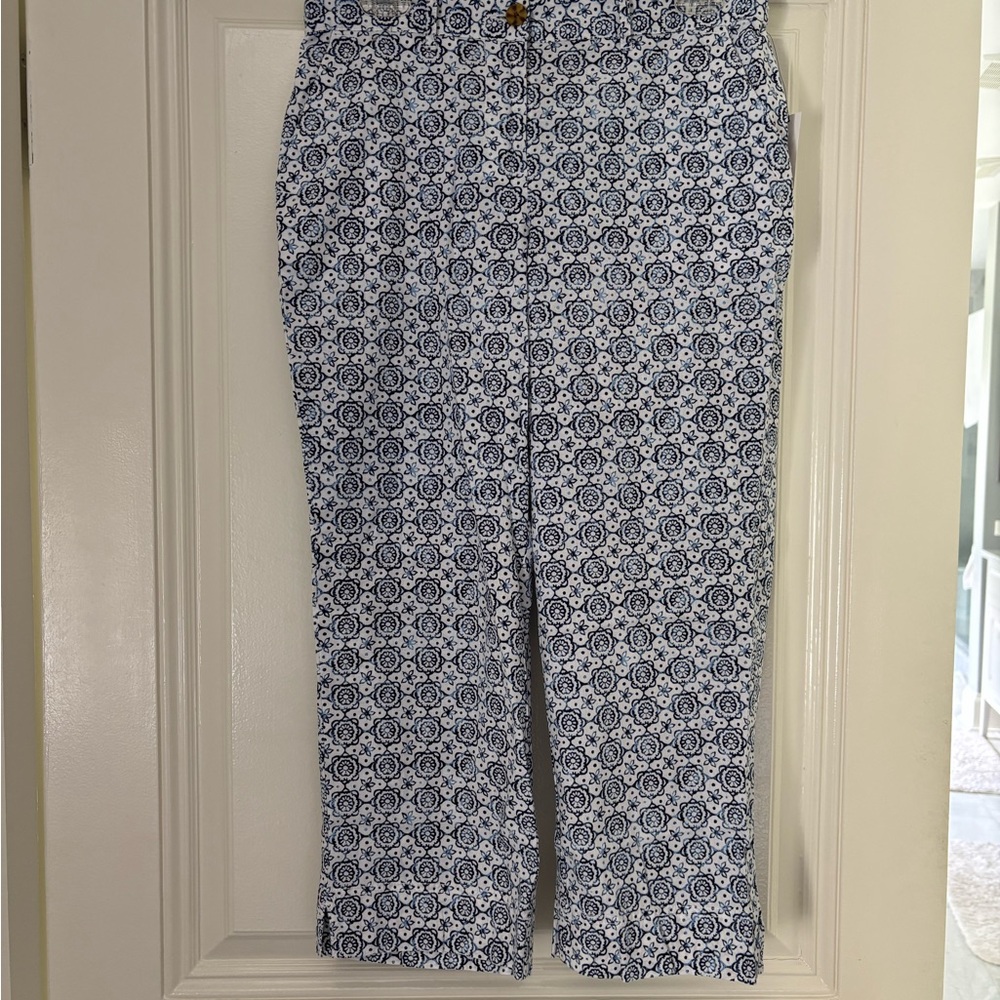 NWT Talbots Petite Linen Pants